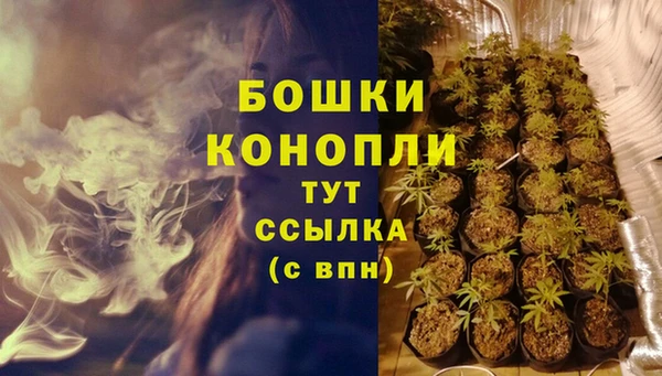 гашик Горно-Алтайск