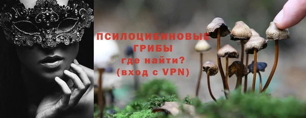 гашик Горно-Алтайск