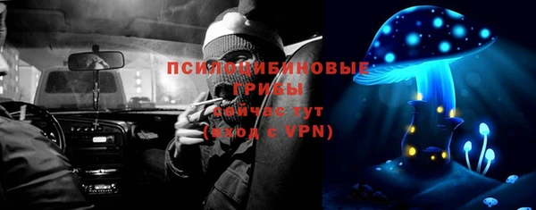 дурь Горняк