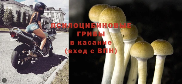 дурь Горняк